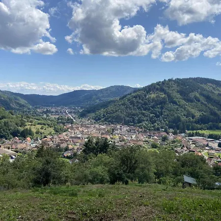 Les Noyers Du Wissbach Holiday home Willer-sur-Thur