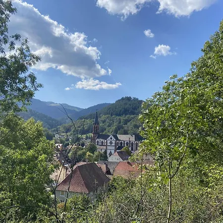 Les Noyers Du Wissbach Ferienhaus *